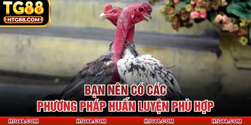 Bạn nên có các phương pháp huấn luyện phù hợp